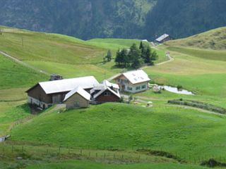 Bauernhof Isenthal Ferien auf dem Bauernhof Bild 1